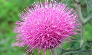 台风的名字是怎么起的啊 台风的名字怎么来的