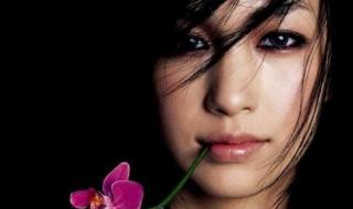 最新流行歌曲试听