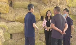 内蒙古农业大学是一本还是二本 内蒙古农业大学专业