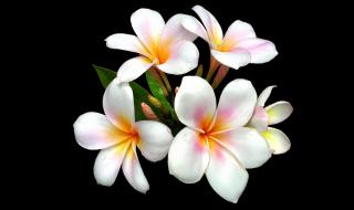 我做淘宝,拍摄是用摄影棚好还是摄影箱好呢求解 自制摄影棚