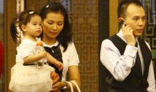 为什么说刘涛是戏混子 为什么都要上刘涛