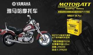 新大洲本田茜茜公主