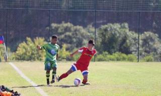 中超球队山东鲁能新赛季的球员名单、引援名单及离队球员名单 鲁能乒乓球队女队员名单